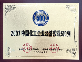 2007中国化工企业经济效益500强