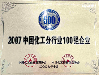 2007中国化工分行业100强企业
