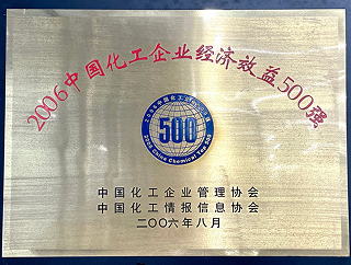 2006年中国化工企业经济效益500强