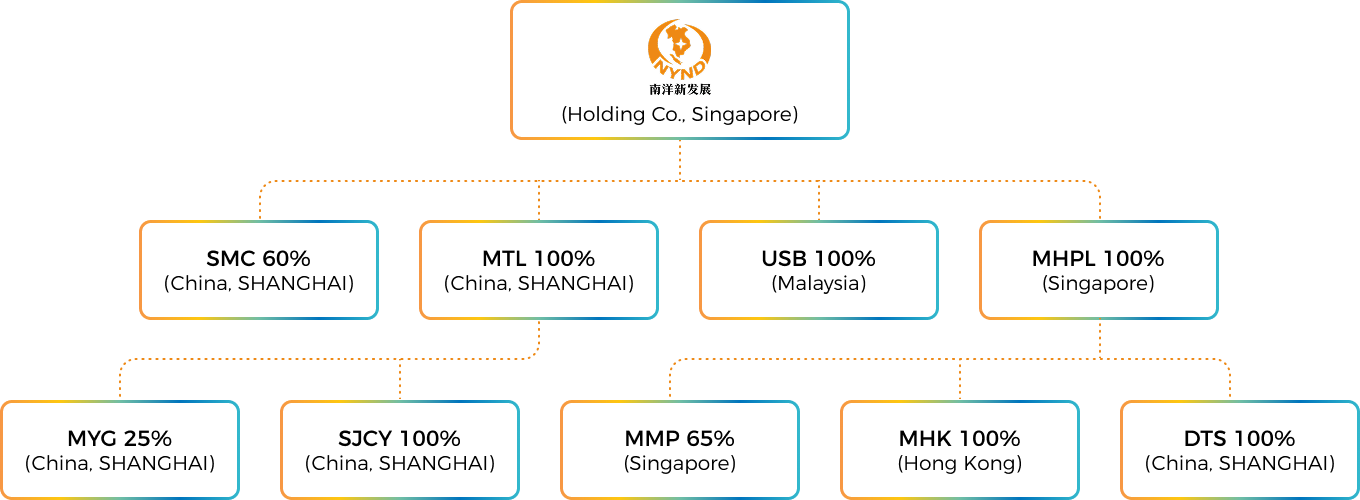 Group Structure：NNDL 集团组织架构